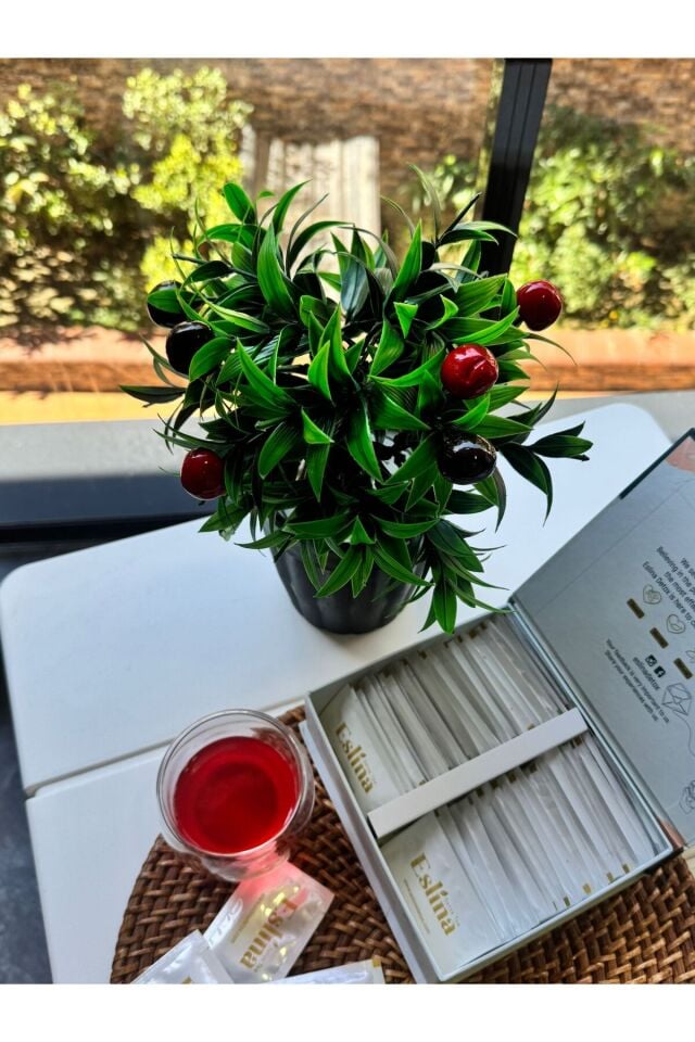 Eslina Tea Bitkisel Detox Çayı 60 şase 30 günlük Kullanım Avantajlı